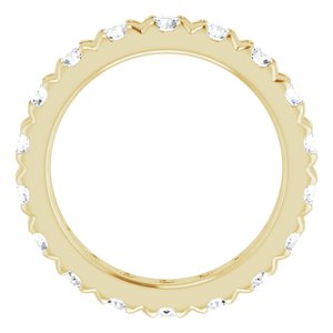 10K Yellow Gold 2 3/4 CTW Natural Diamond French-Set Eternity Band
