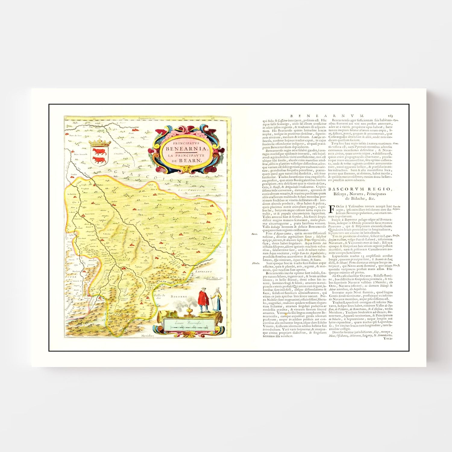 Vintage Map of Béarn, France 1665