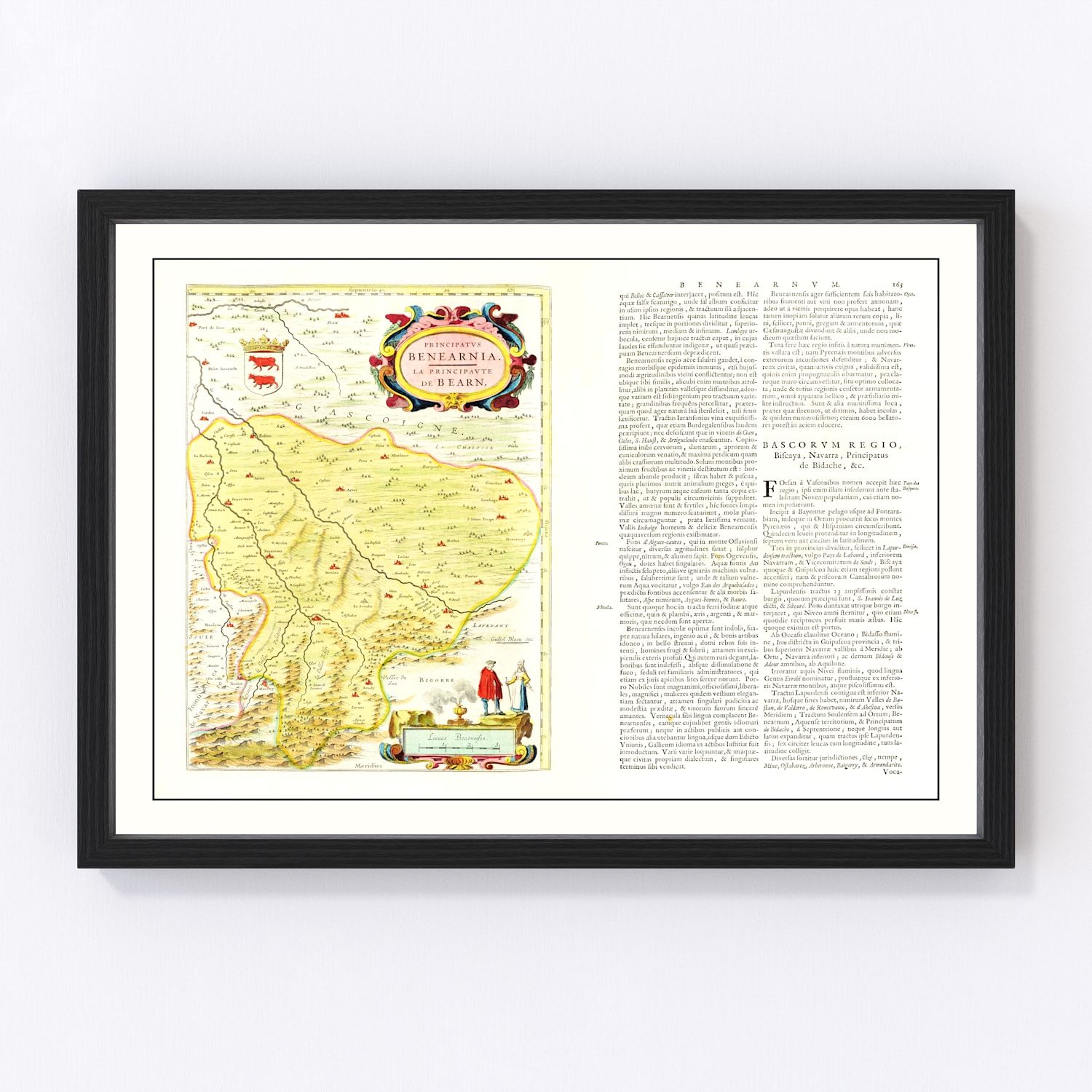 Vintage Map of Béarn, France 1665