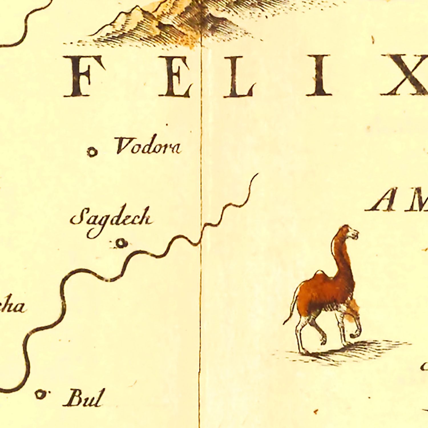 Vintage Map of Arabia 1665