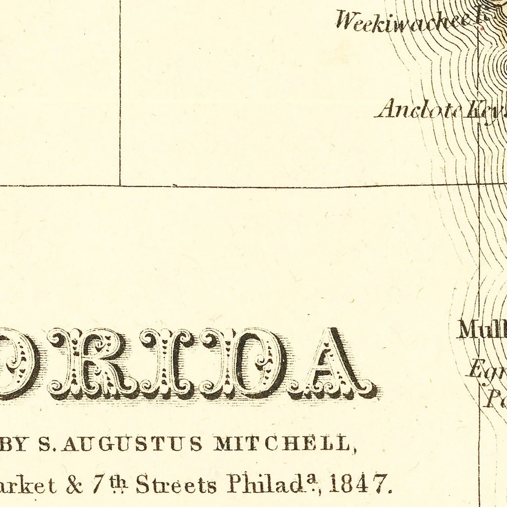 Vintage Map of Florida 1847