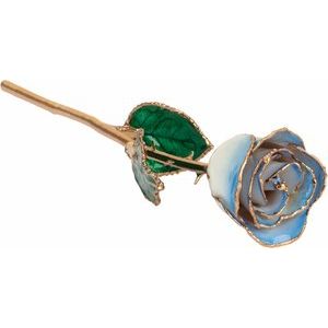 Lacquered Cream & Blue Ombre Rose with Gold Trim