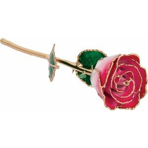 Lacquered Cream & Red Ombre Rose with Gold Trim