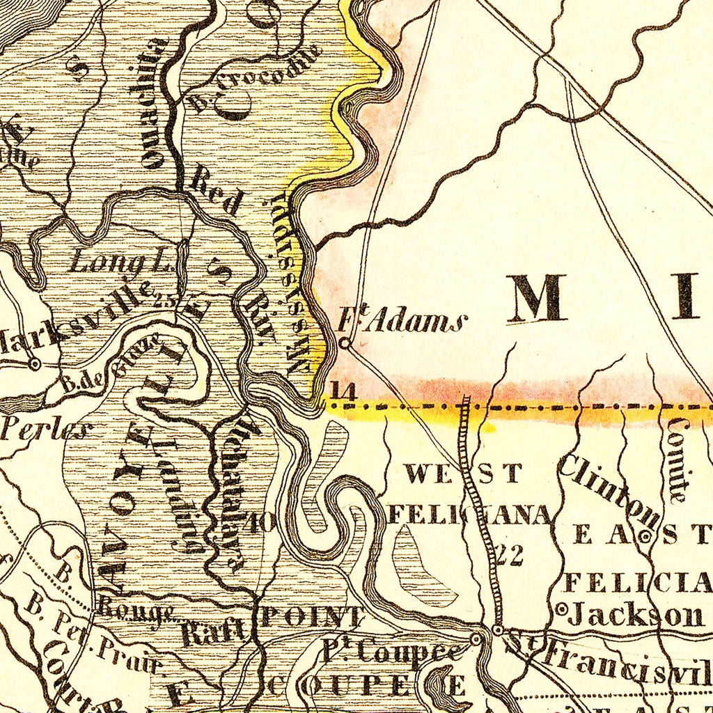 Vintage Map of Louisiana 1845