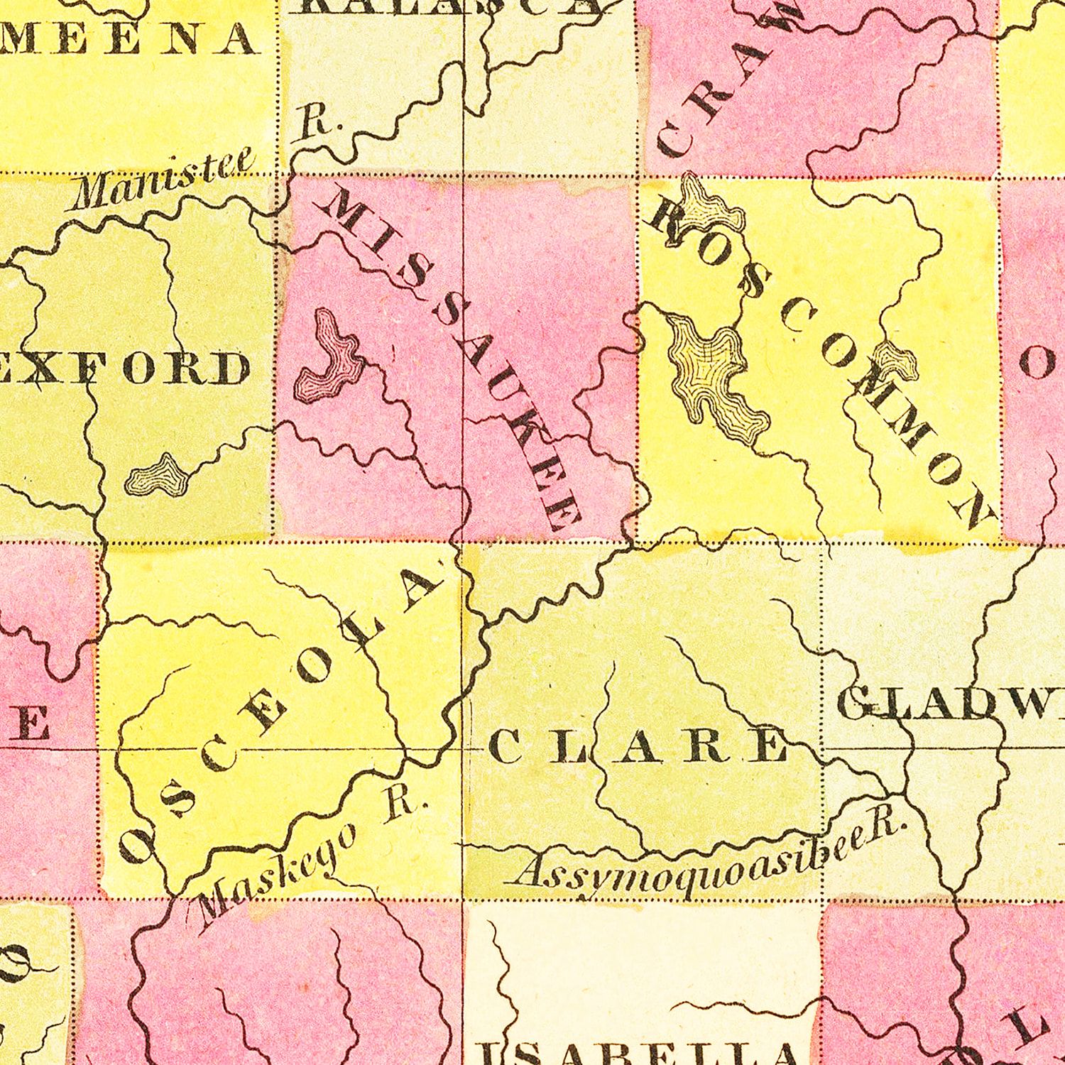 Vintage Map of Michigan 1847