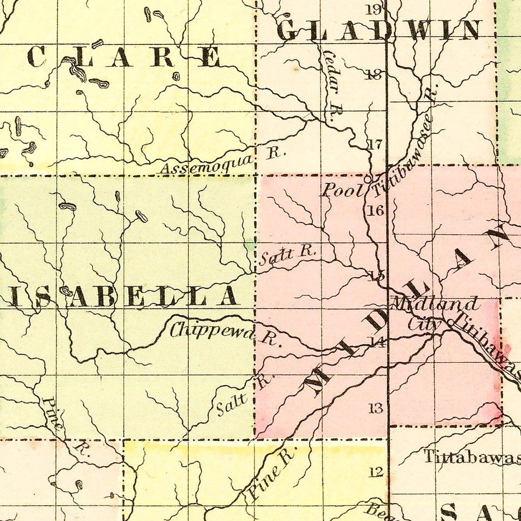 Vintage Map of Michigan 1855