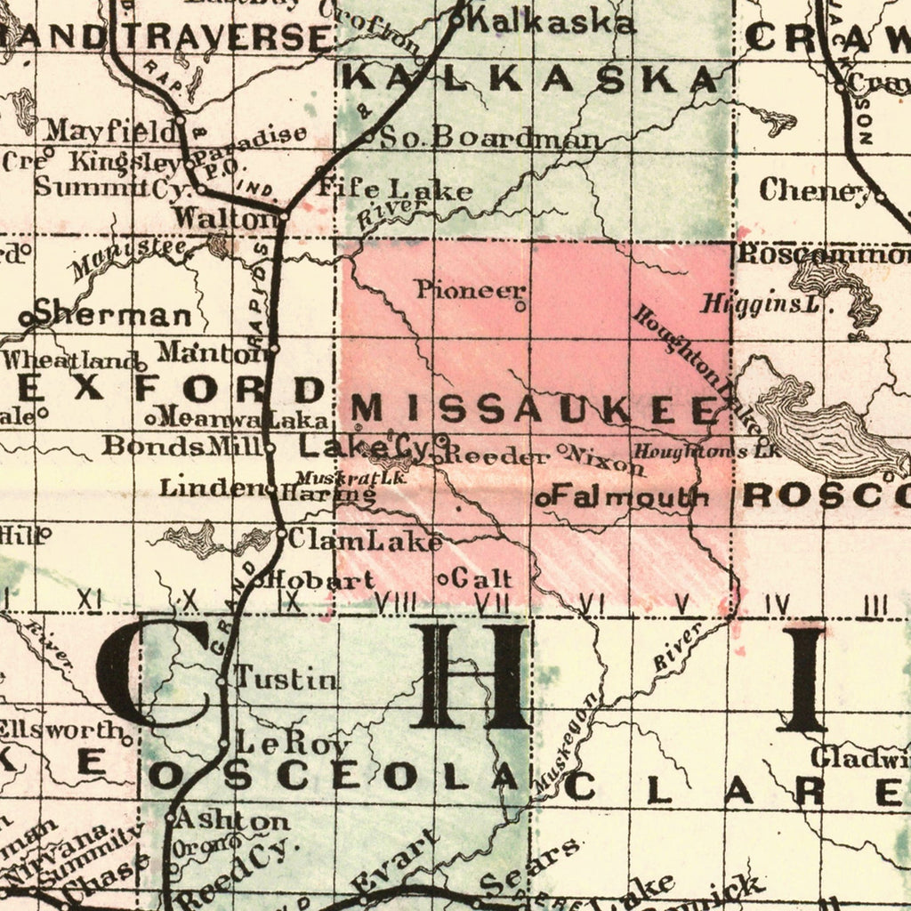 Vintage Map of Michigan 1878