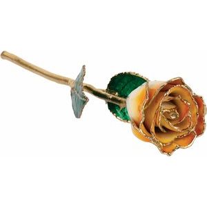 Lacquered Cream & Orange Ombre Rose with Gold Trim