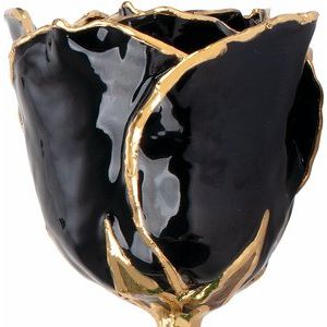 Lacquered Black Rose with Gold Trim