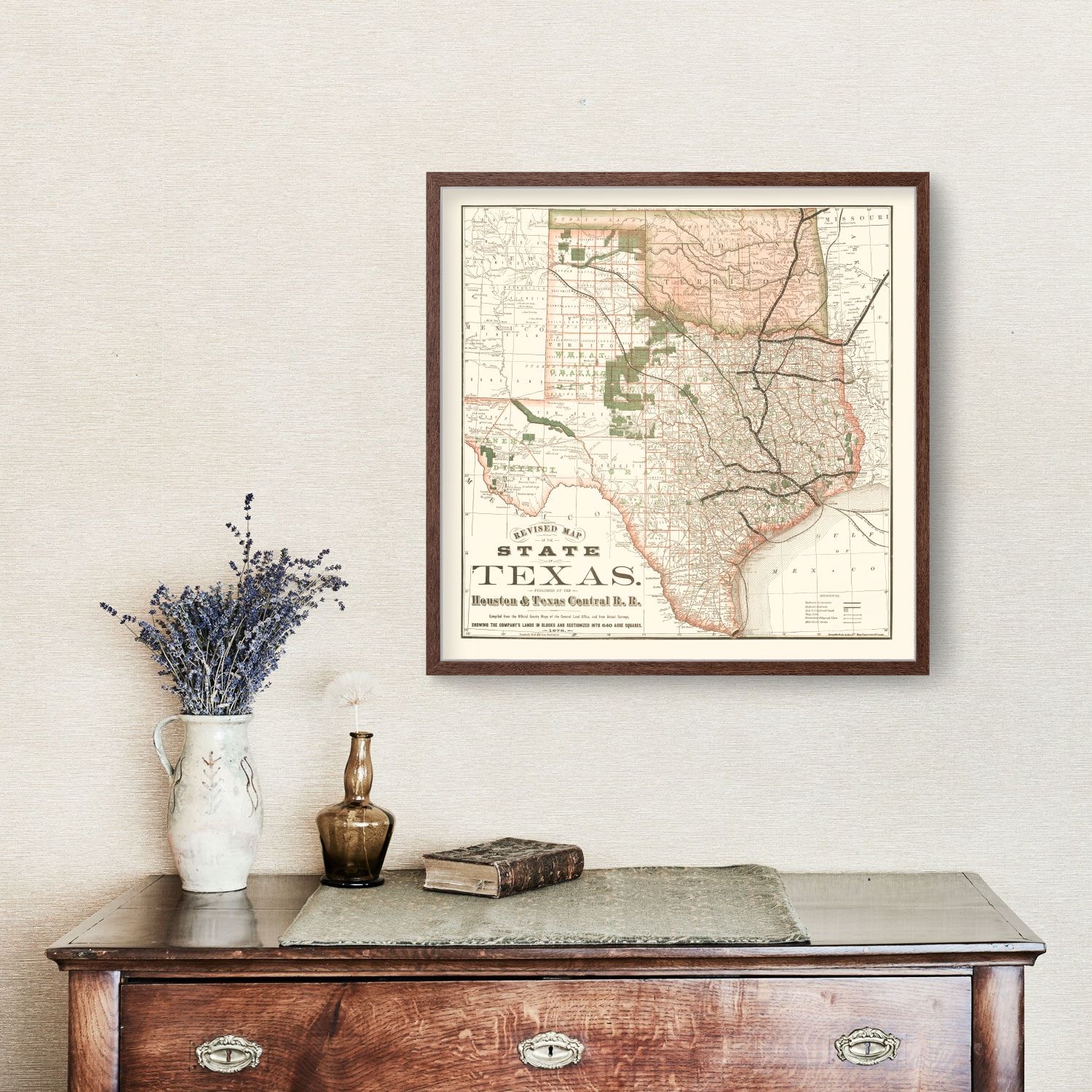 Vintage Map of Texas 1877