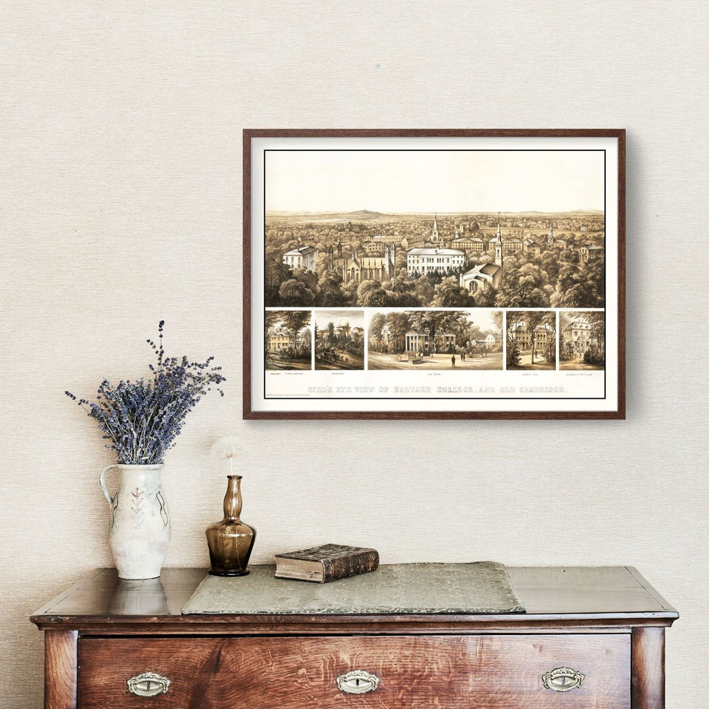 Vintage Bird's Eye View of Harvard 1858