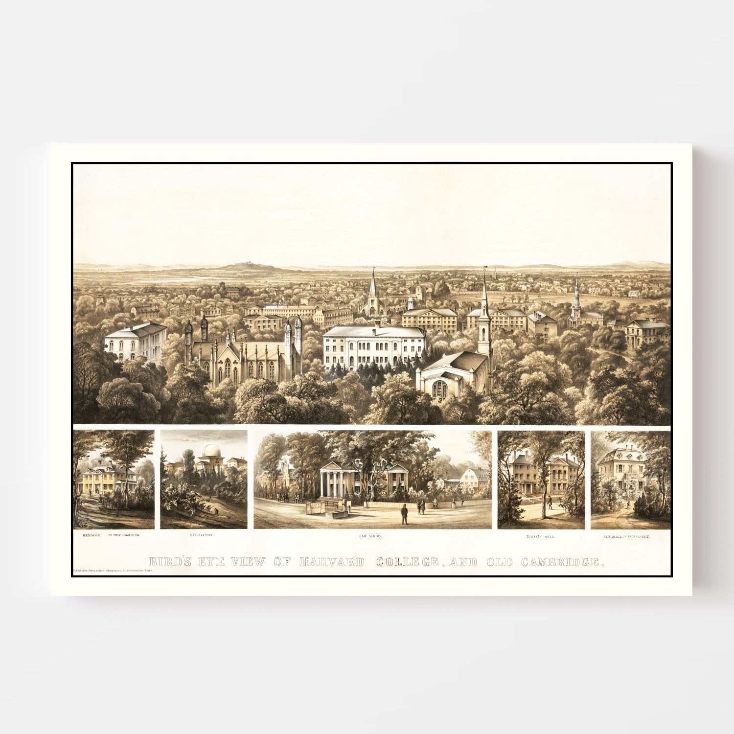 Vintage Bird's Eye View of Harvard 1858