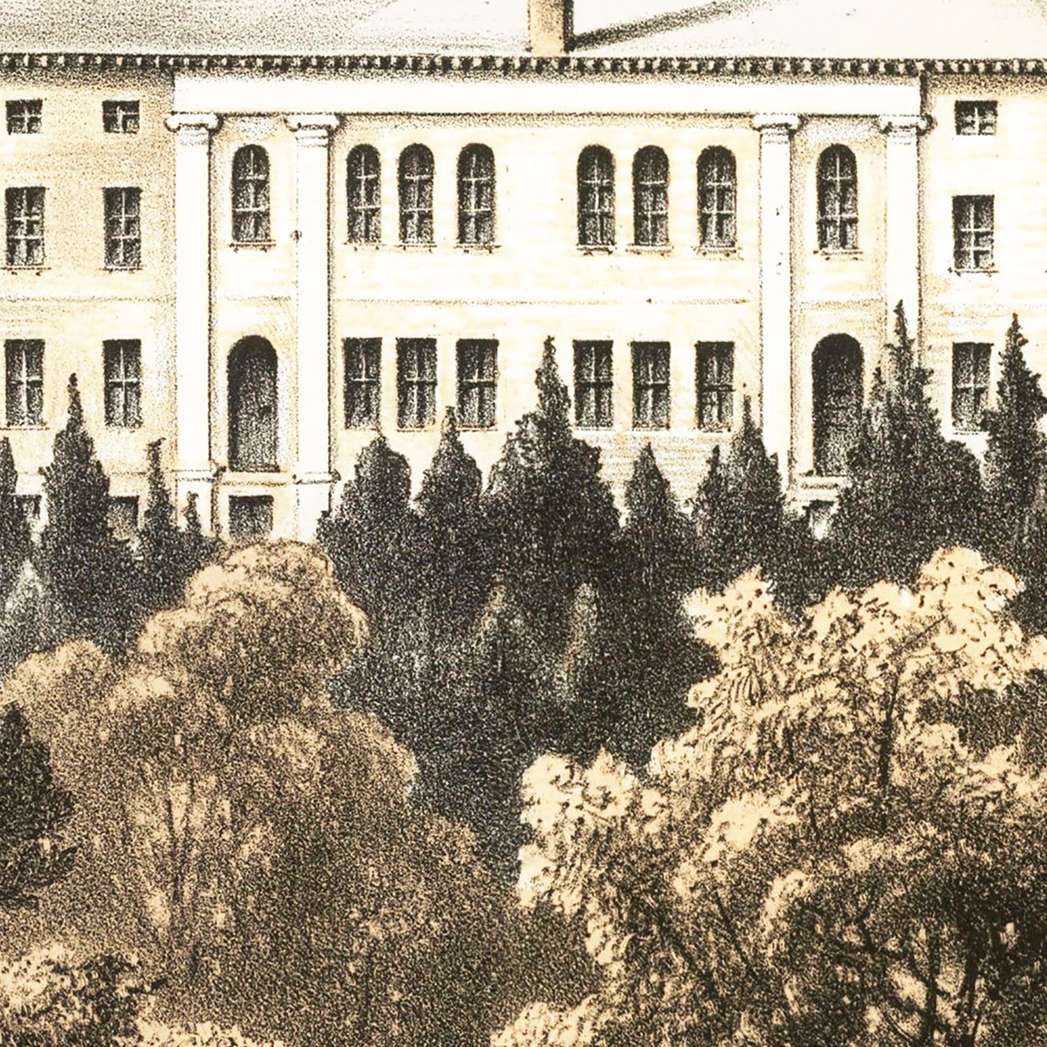 Vintage Bird's Eye View of Harvard 1858