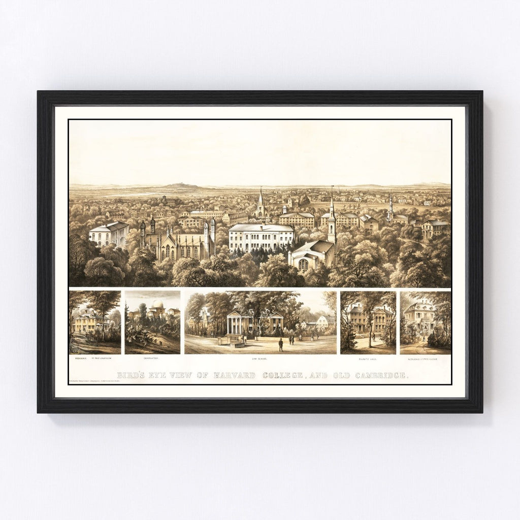 Vintage Bird's Eye View of Harvard 1858