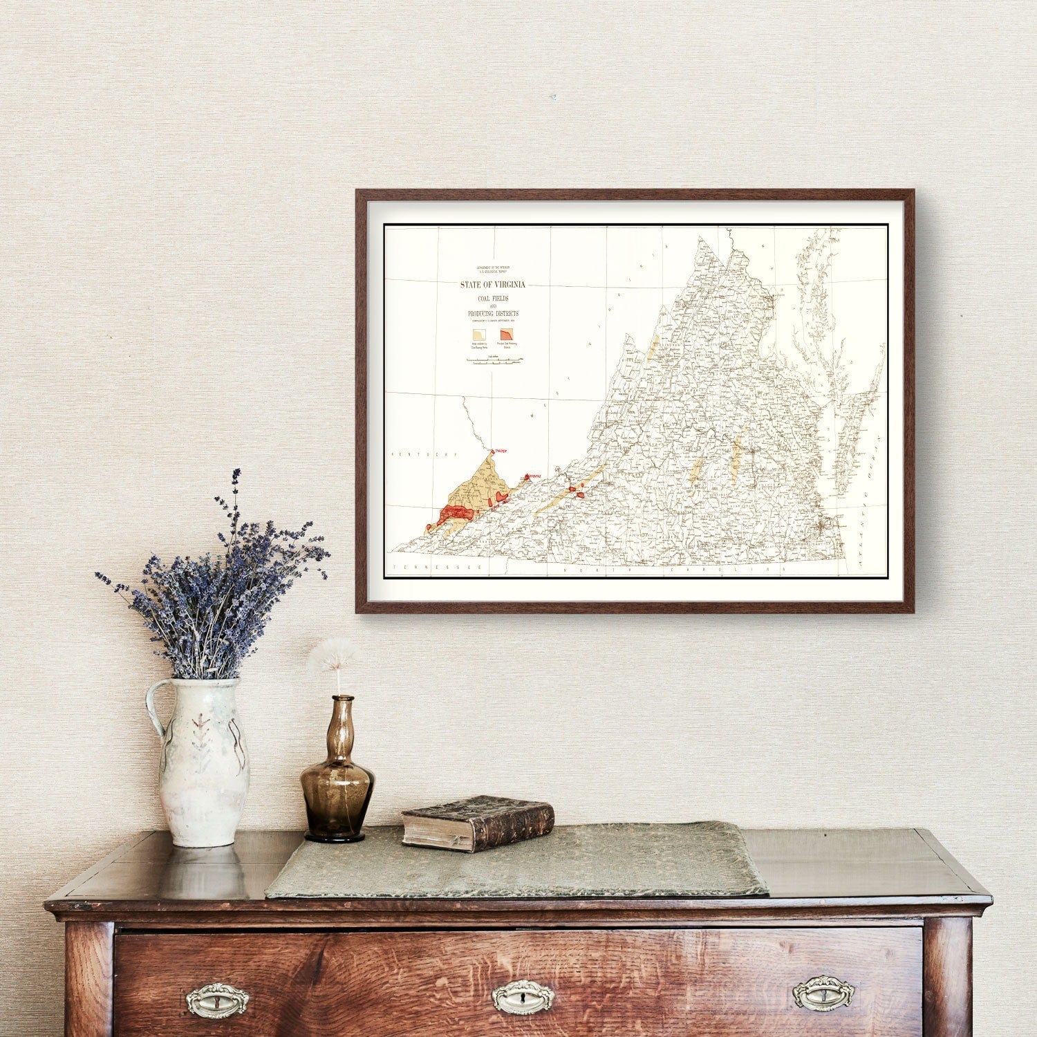 Vintage Map of Virginia Coal Fields, 1919