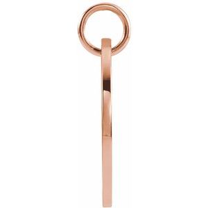 14K Rose Gold 16.5 mm Pisces Zodiac Disc Charm/Pendant – image 3