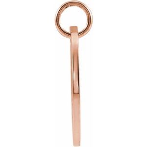 14K Rose Gold 16.5 mm Capricorn Zodiac Disc Charm/Pendant – image 3