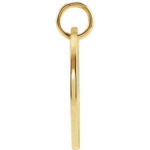 14K Yellow Gold 16.5 mm Leo Zodiac Disc Charm/Pendant – image 3