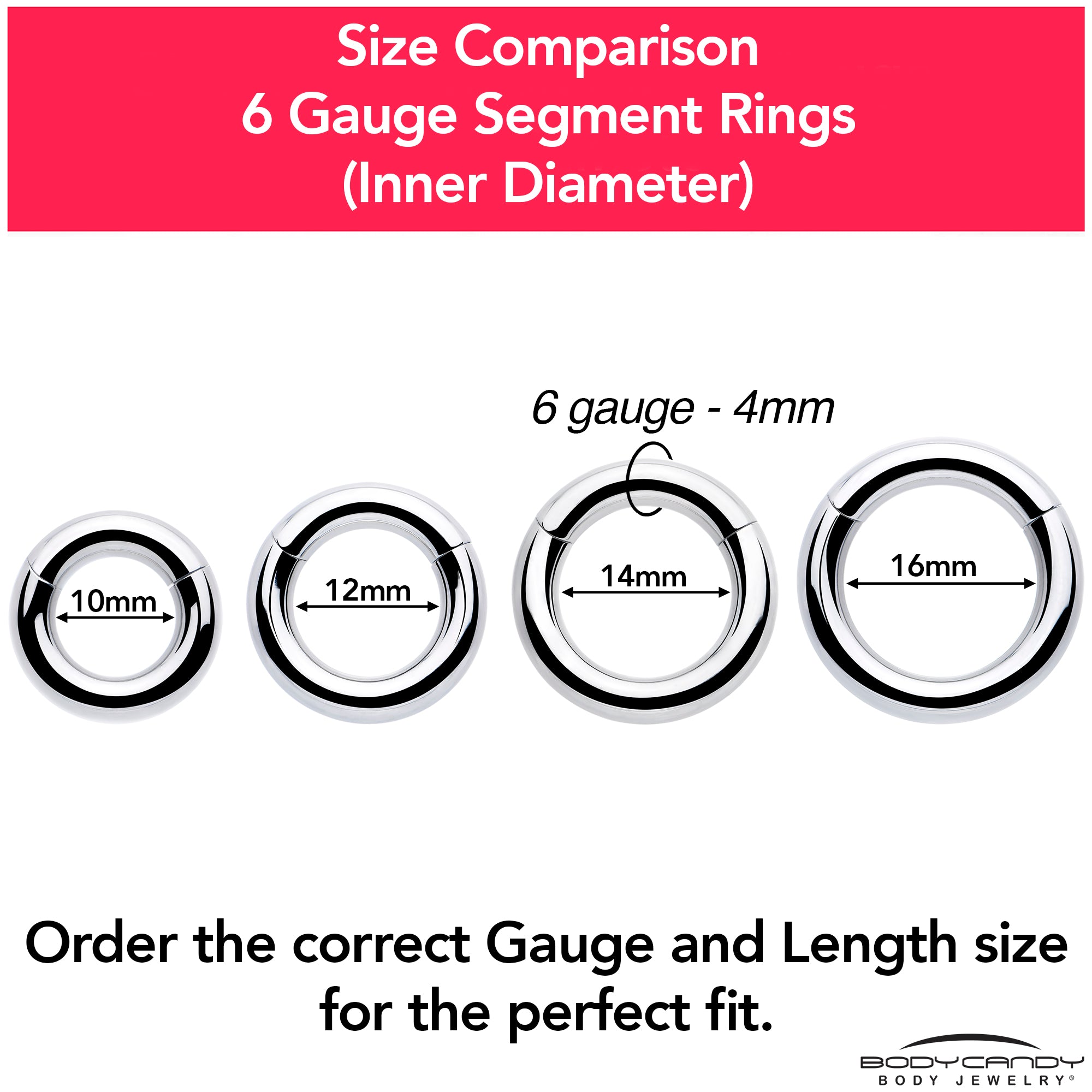 6G 3/8 316L Surgical Steel Precision Hinged Segment Hoop