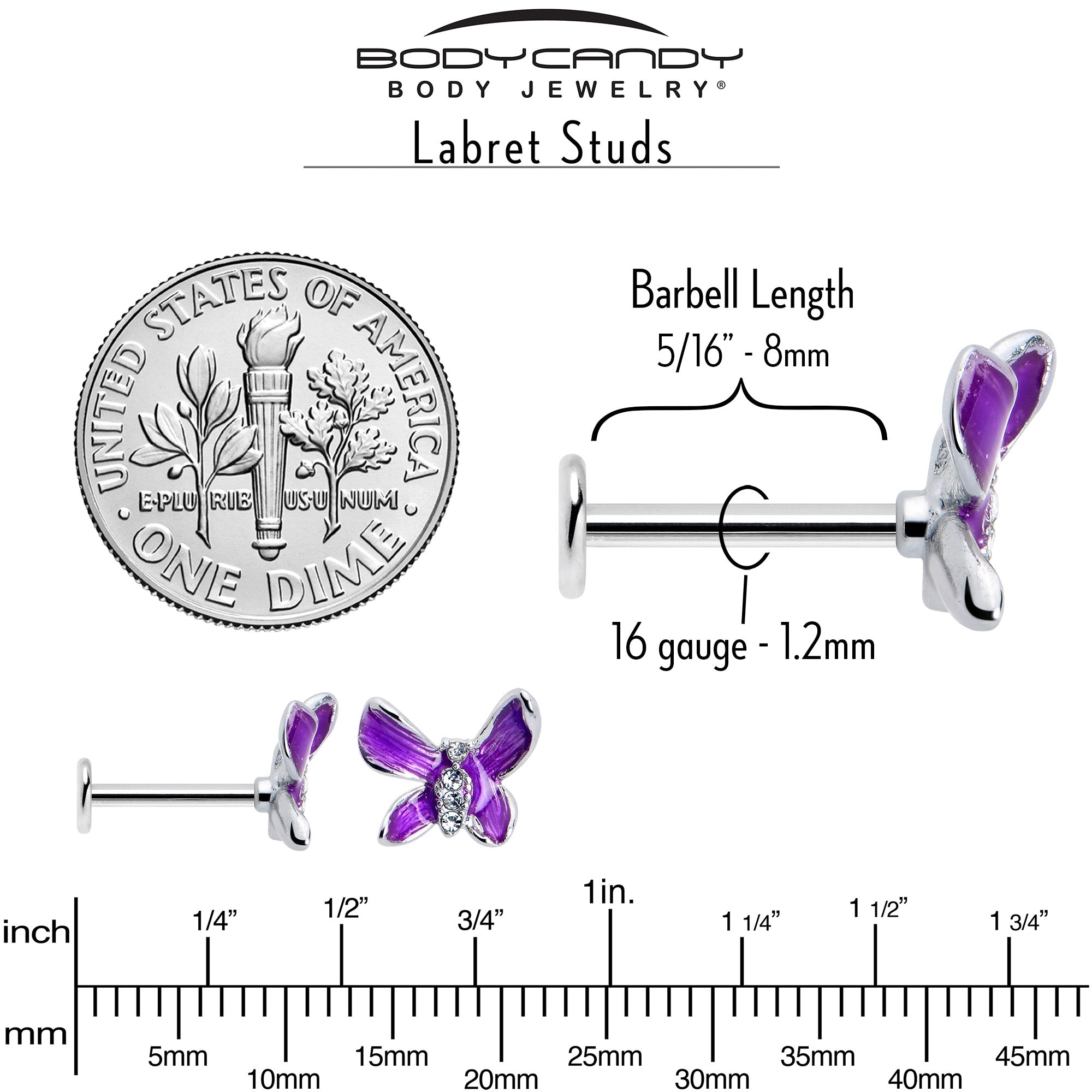 16G 5/16 Clear Gem Chunky Butterfly Purple Labret Monroe Tragus