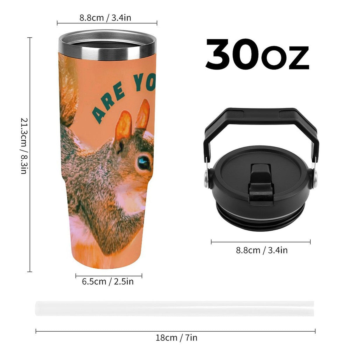 Are You Nuts? Squirrel 30 oz Water Bottle Tumbler