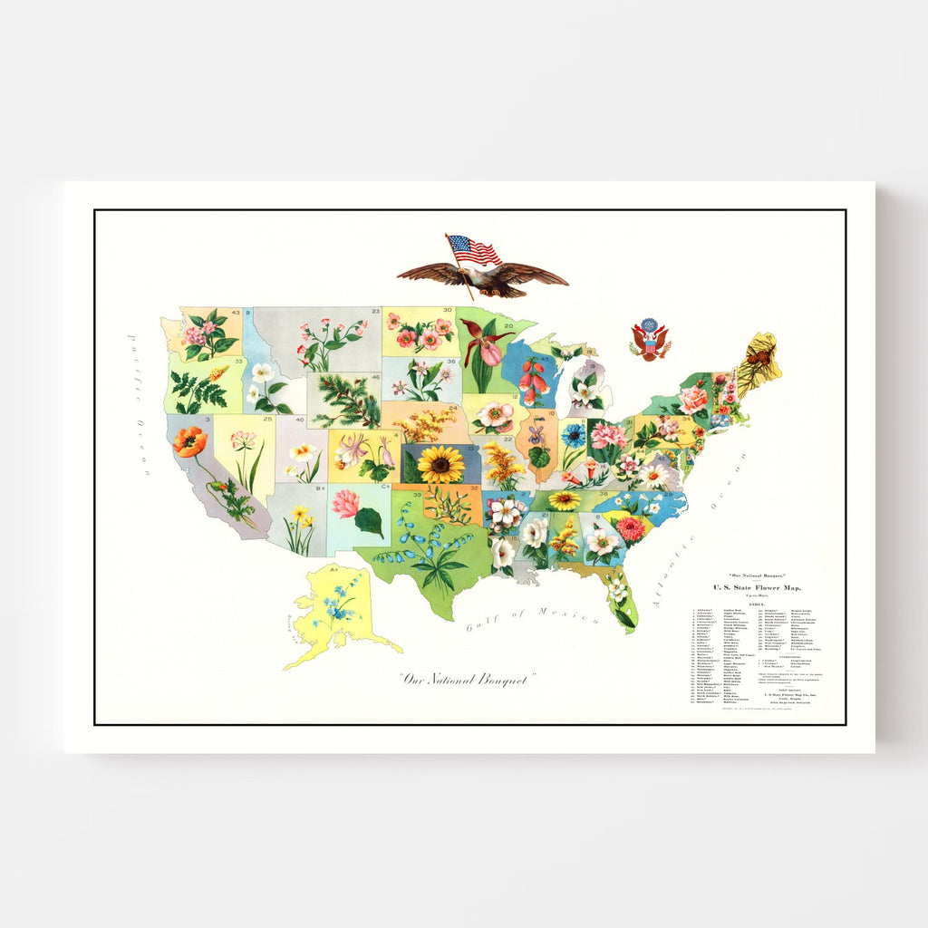 Vintage United States Flower Map, 1911