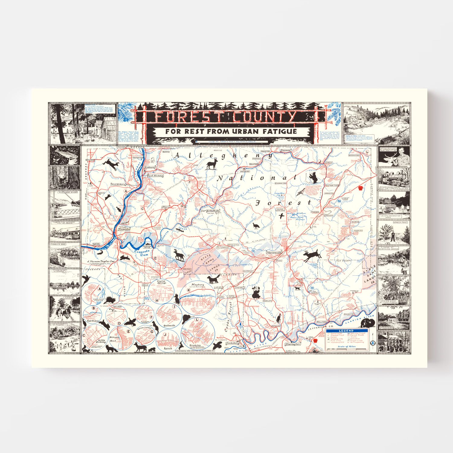 Vintage Map of Forest County, California 1957
