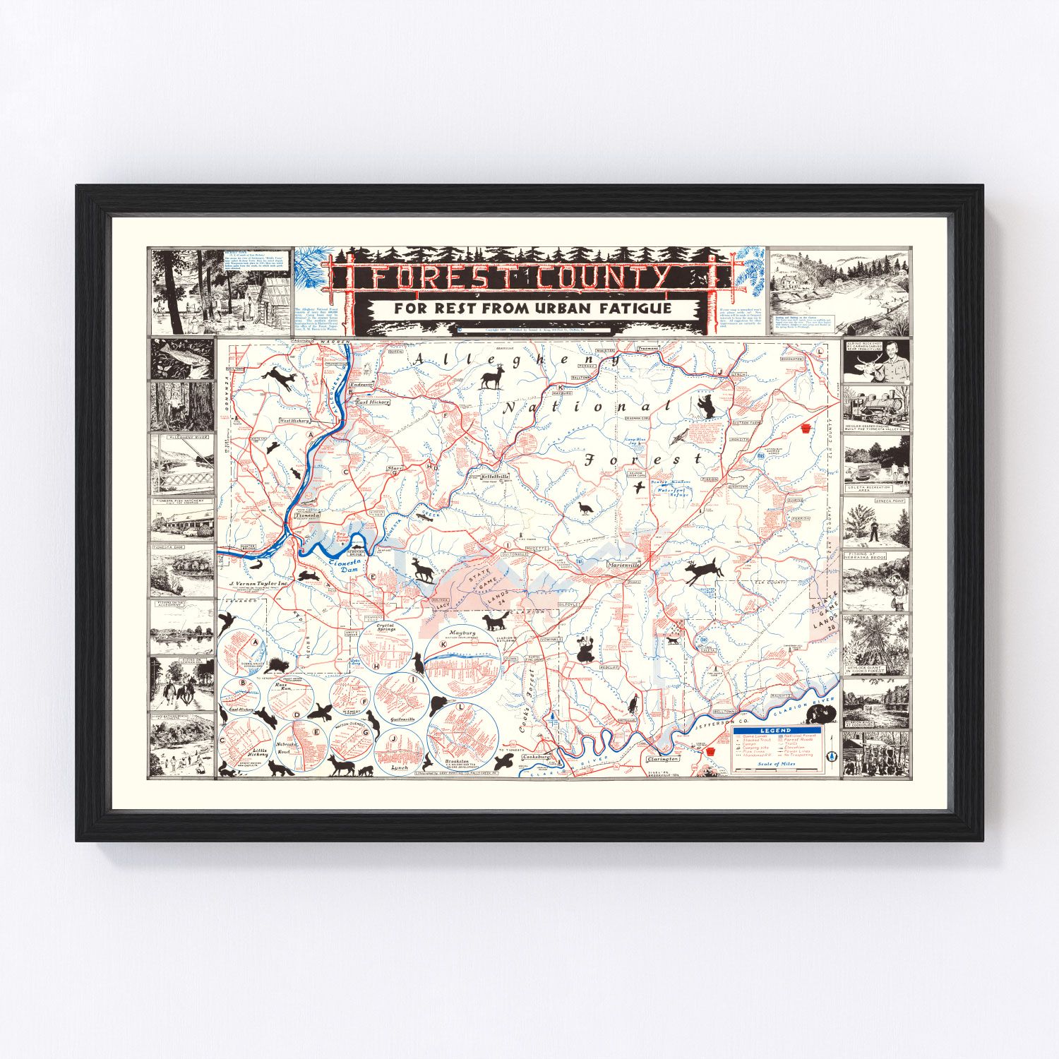 Vintage Map of Forest County, California 1957