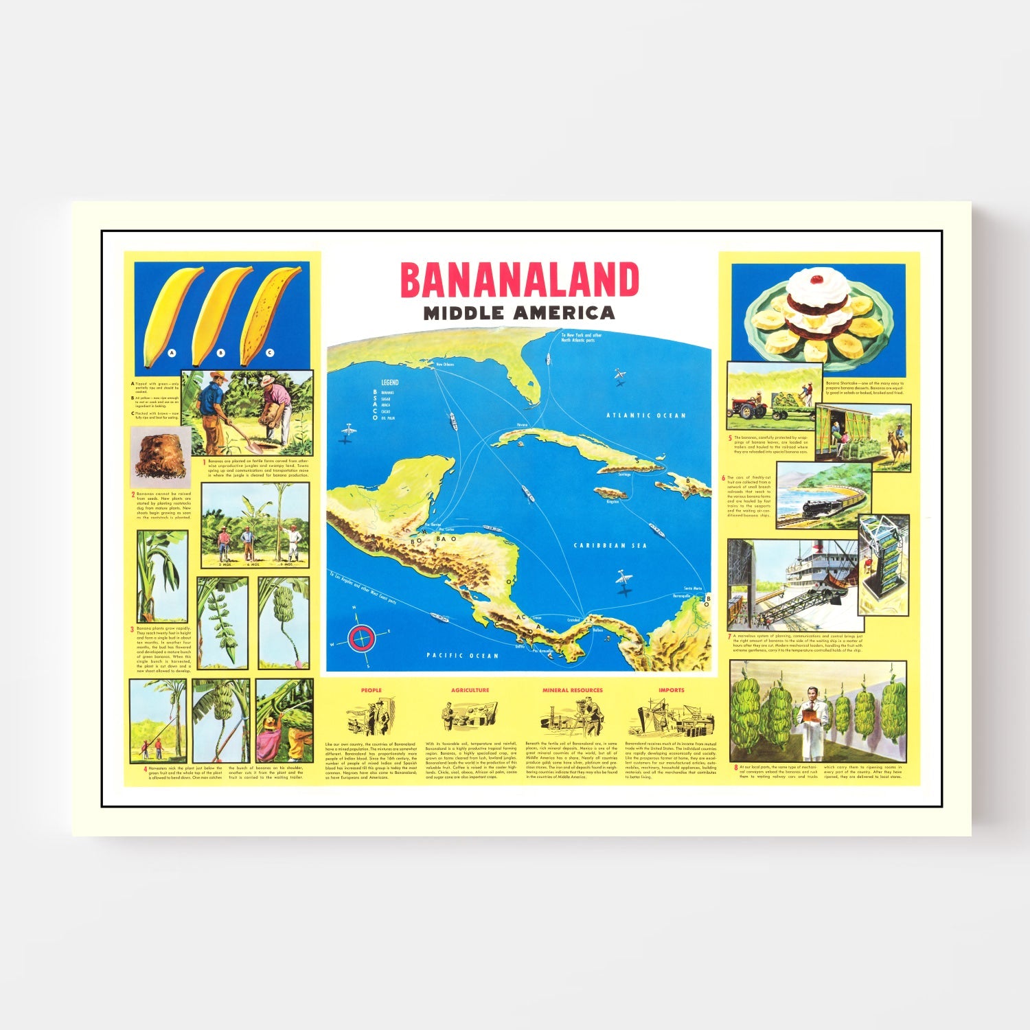 Vintage Map of Bananaland, 1958
