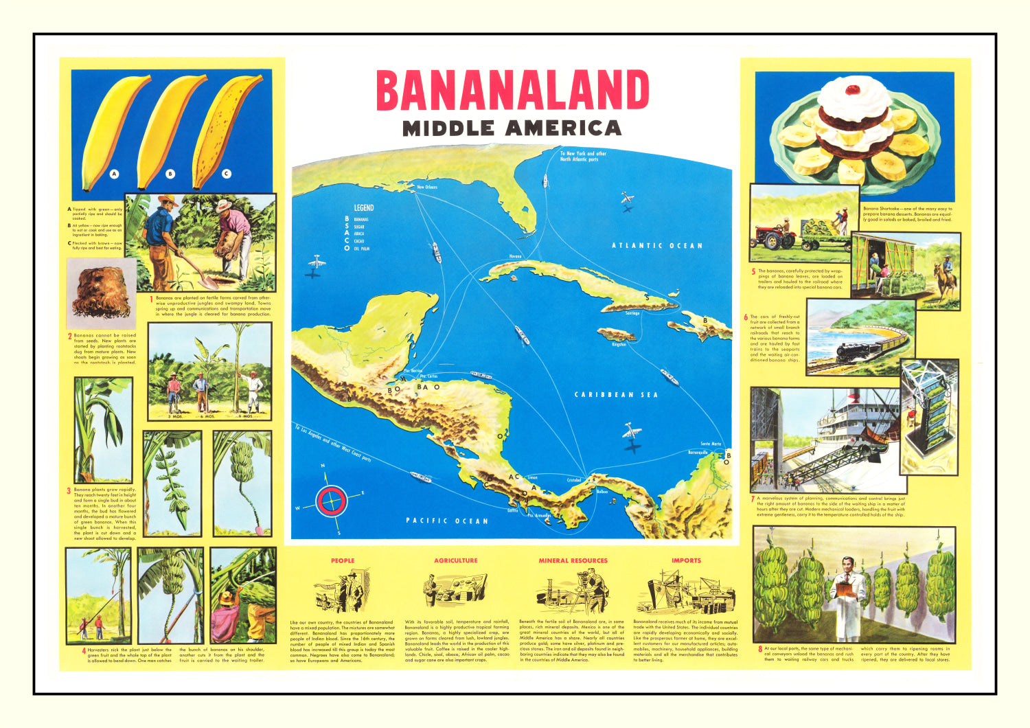 Vintage Map of Bananaland, 1958