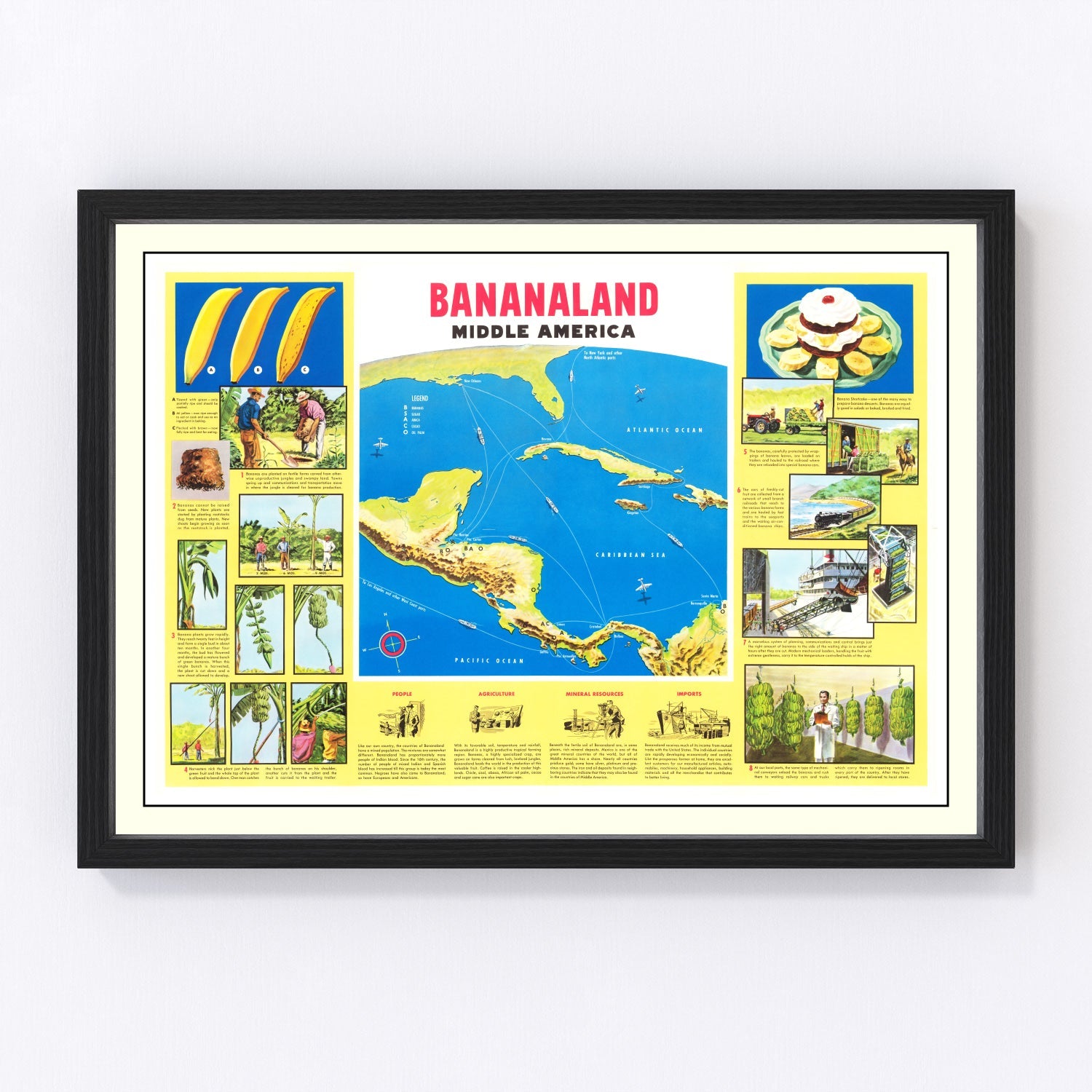 Vintage Map of Bananaland, 1958