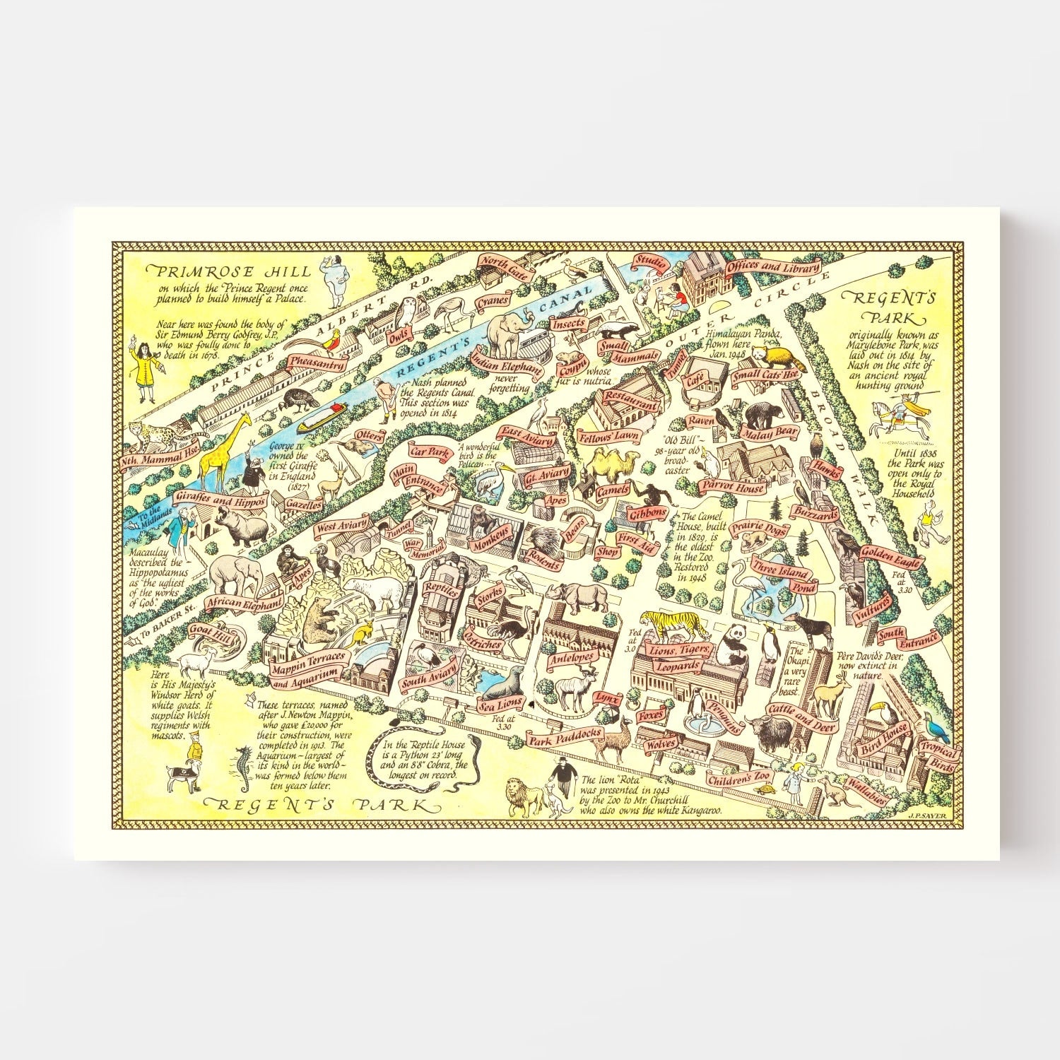 Vintage Map of Zoological Gardens Regent Park, 1947