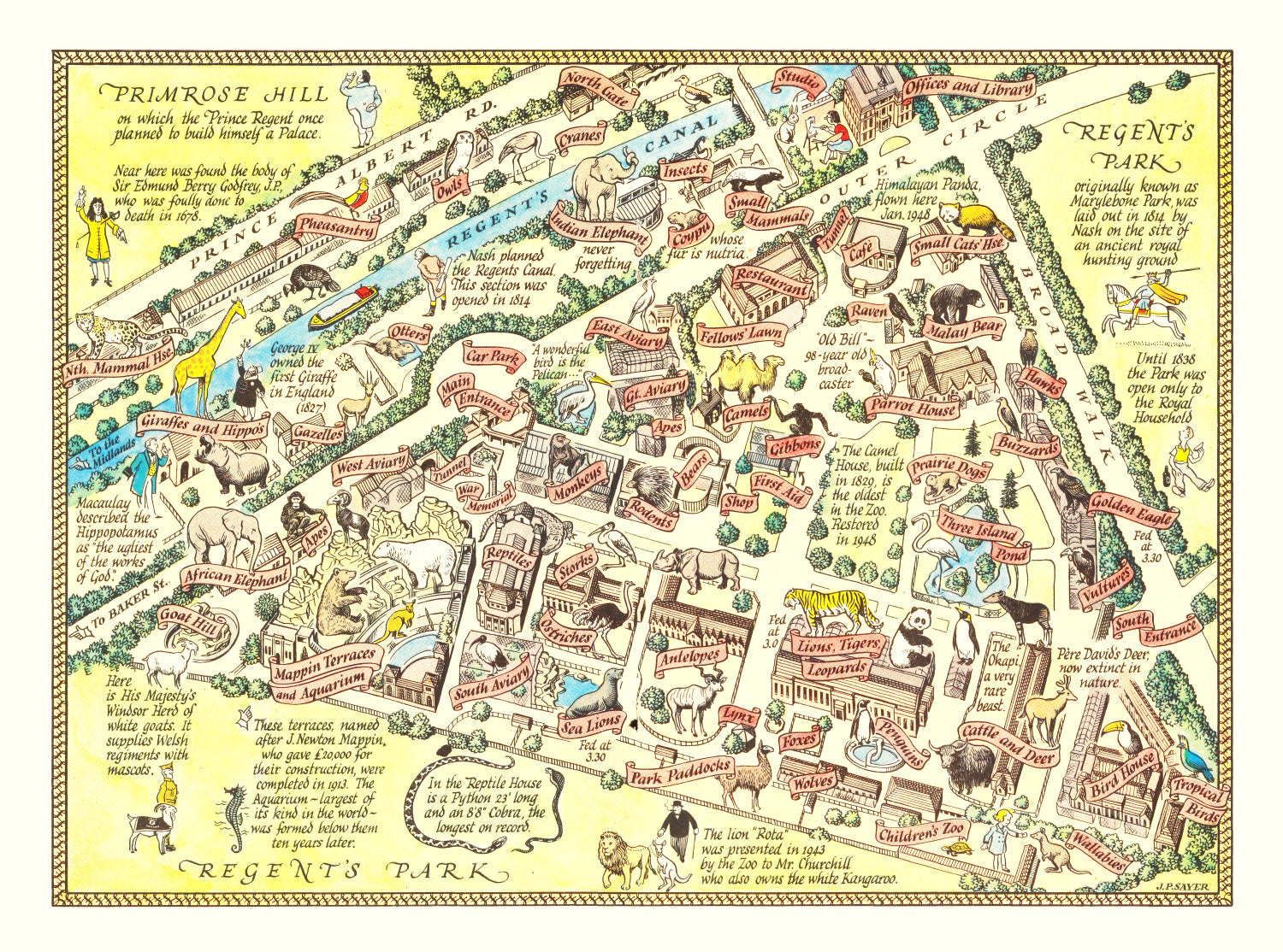 Vintage Map of Zoological Gardens Regent Park, 1947
