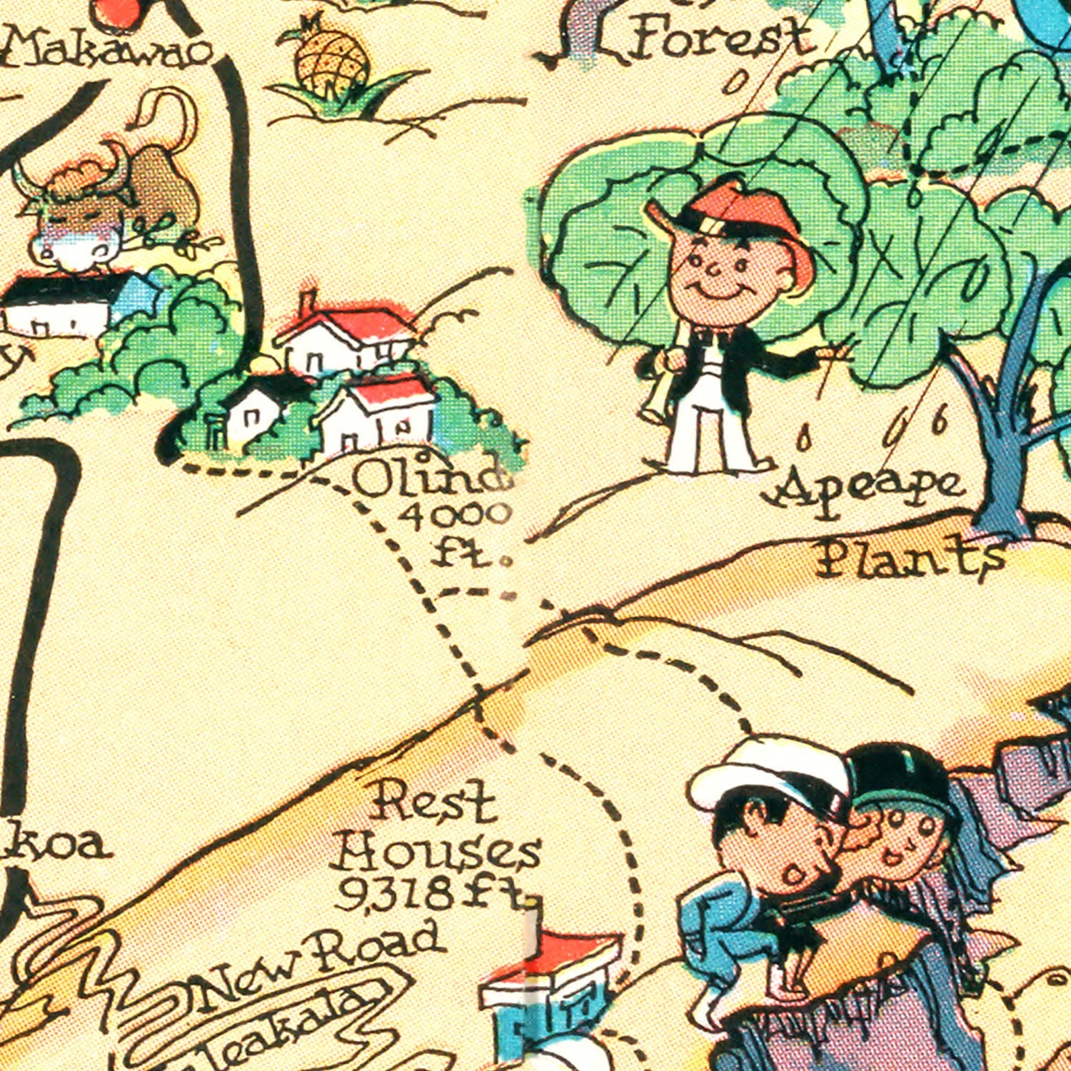 Vintage Map of Maui, 1935