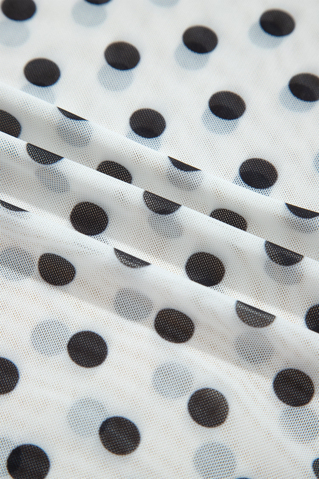 Polka Dot Sheer Mesh Long Sleeve Shift Top