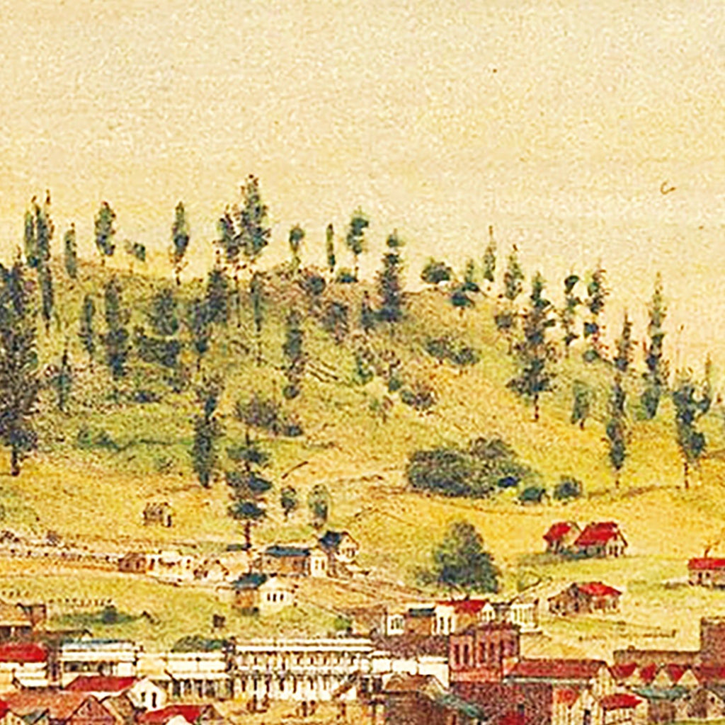 Vintage Map of Shasta, California 1856