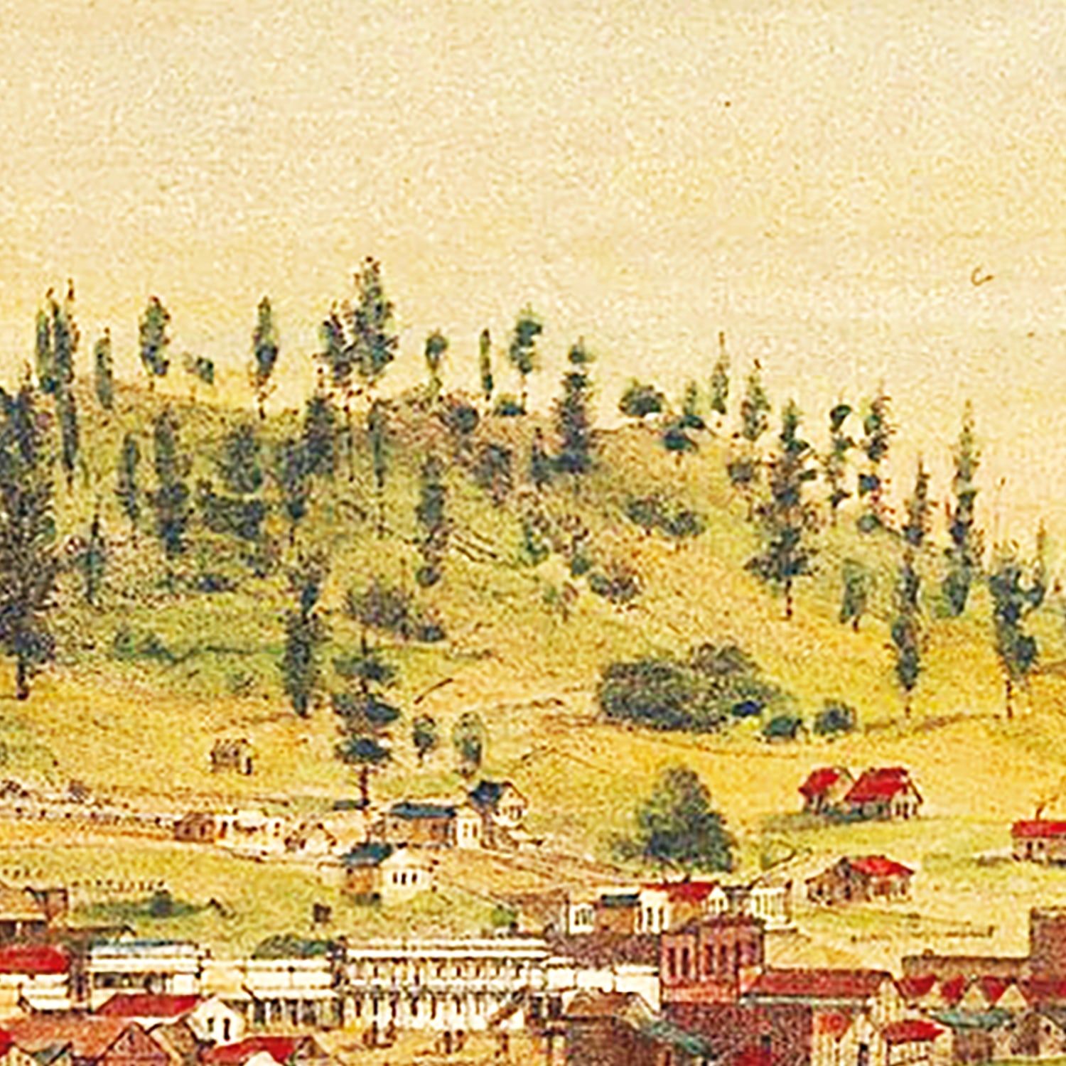 Vintage Map of Shasta, California 1856