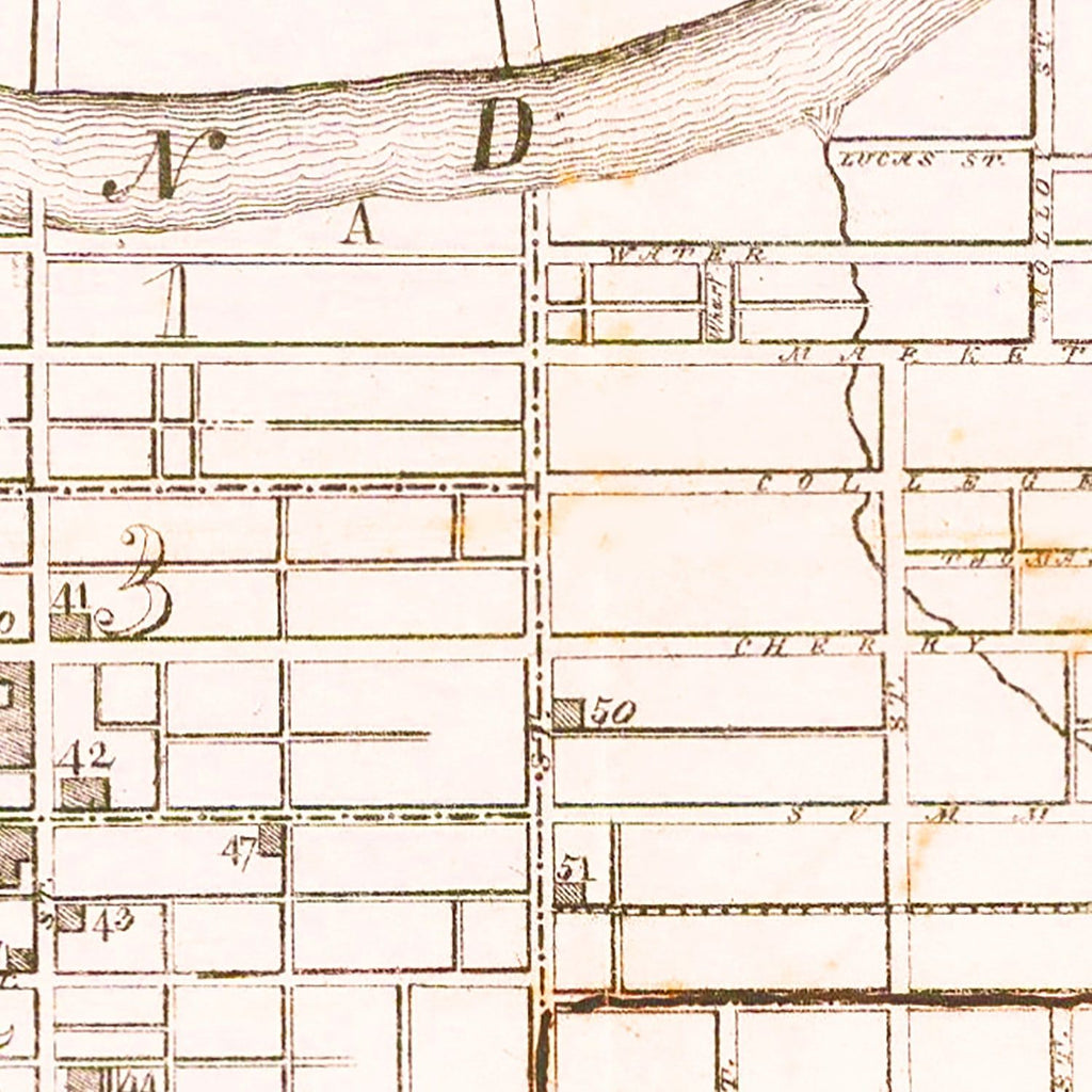 Vintage Map of Nashville, Tennessee 1860