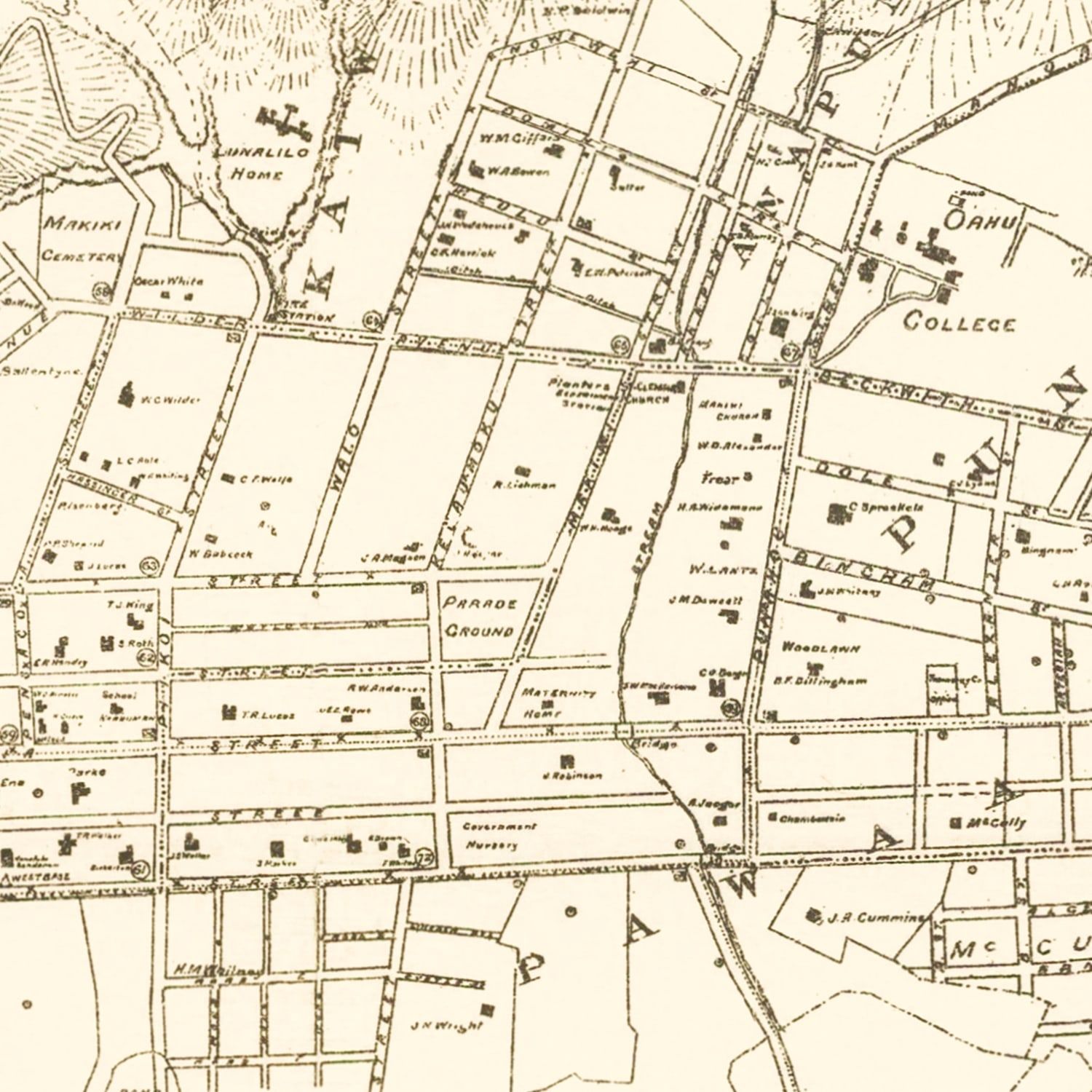 Vintage Map of Honolulu, Hawaii 1901