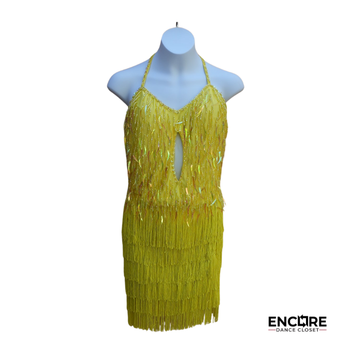Fringe Fever Dress