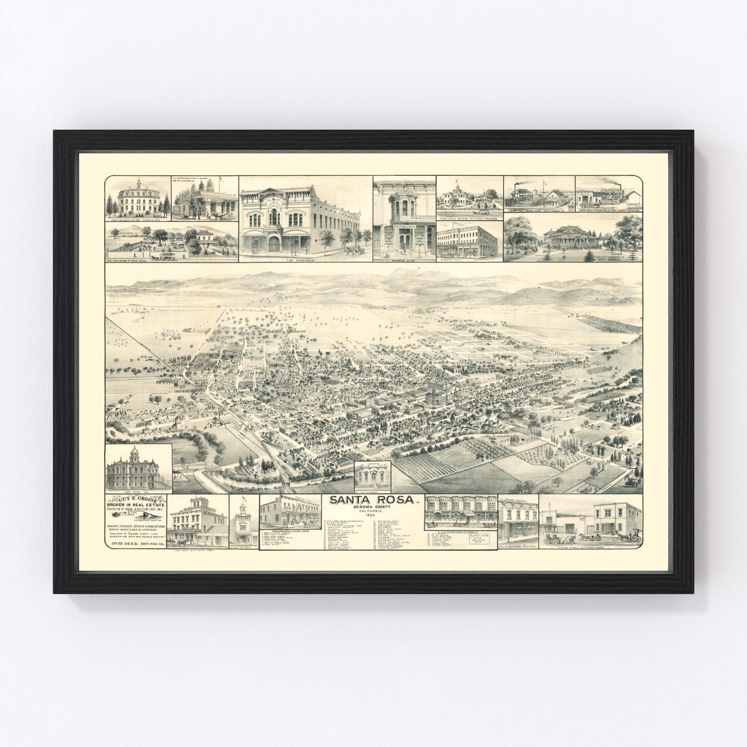Vintage Map of Santa Rosa, California 1885