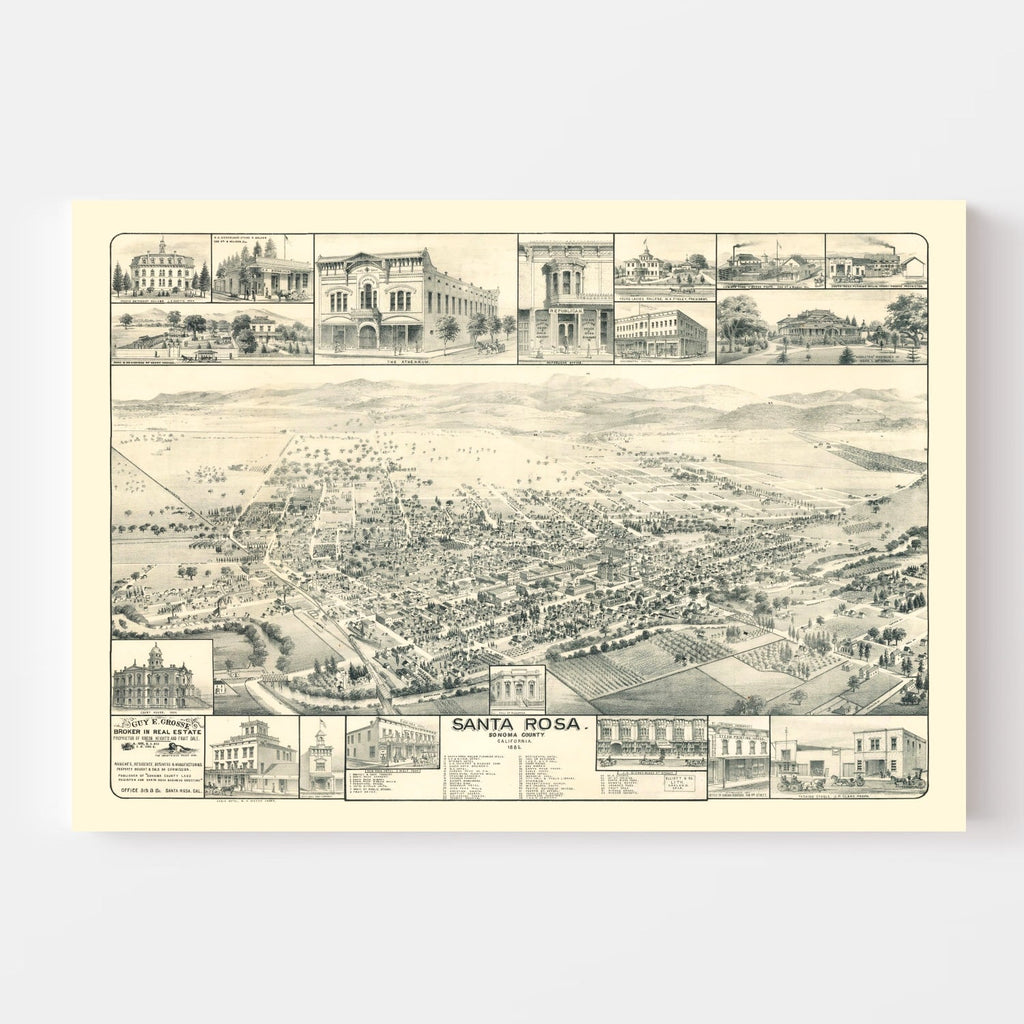 Vintage Map of Santa Rosa, California 1885