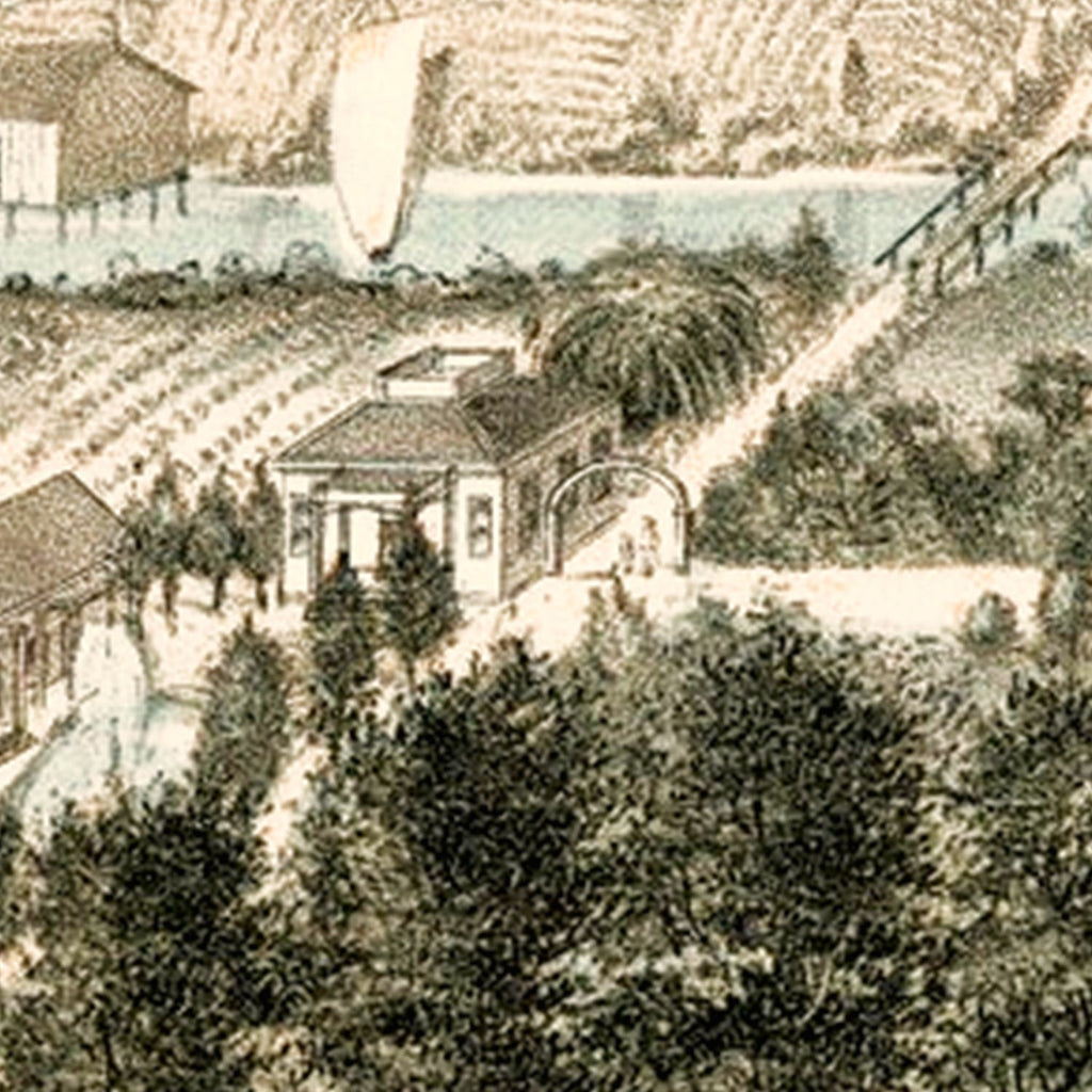 Vintage Map of Santa Cruz, California 1878