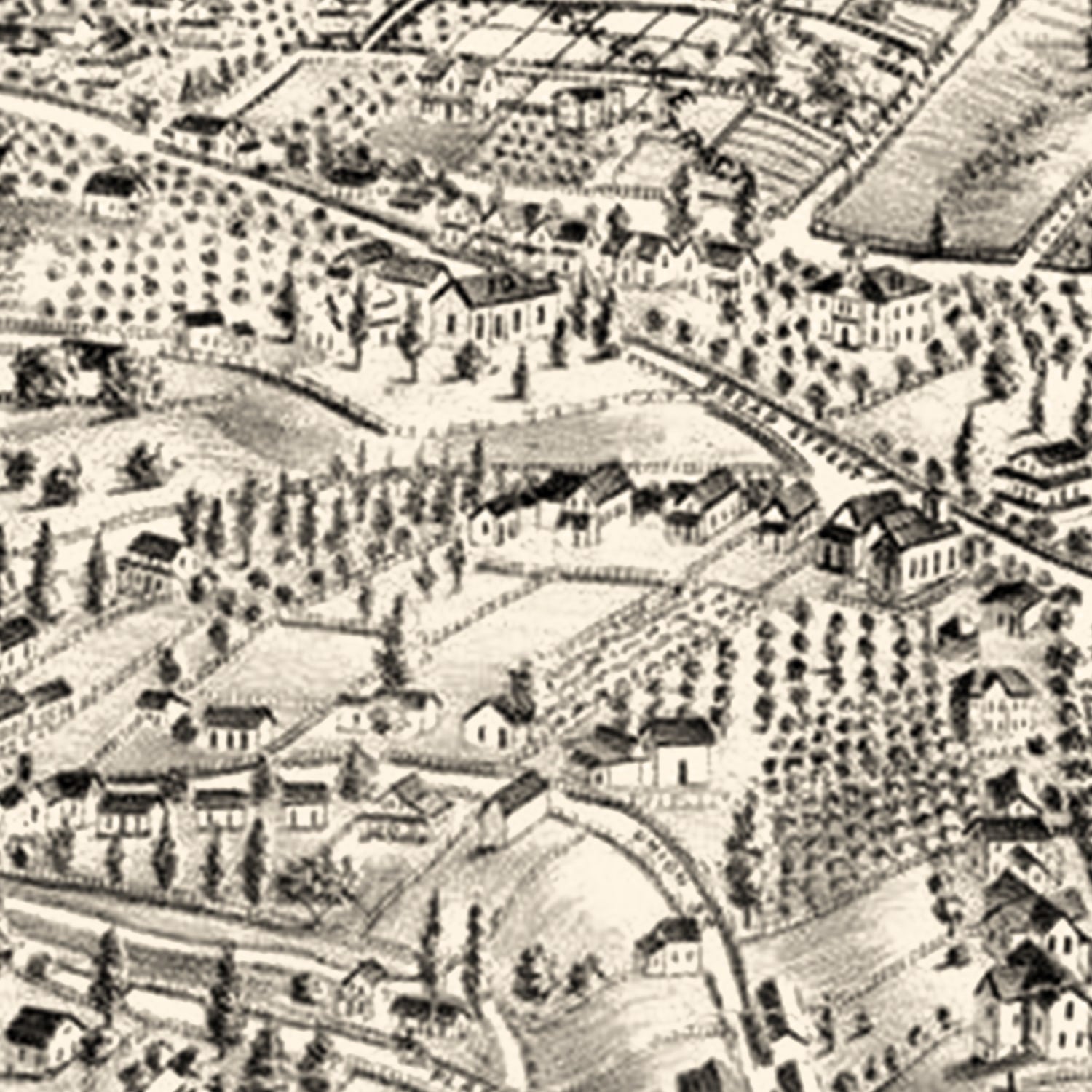 Vintage Map of Auburn, California 1887