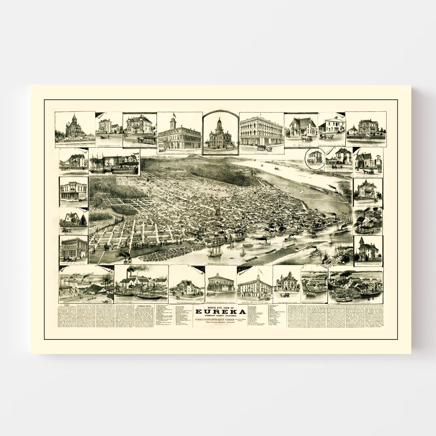 Vintage Map of Eureka, California 1889