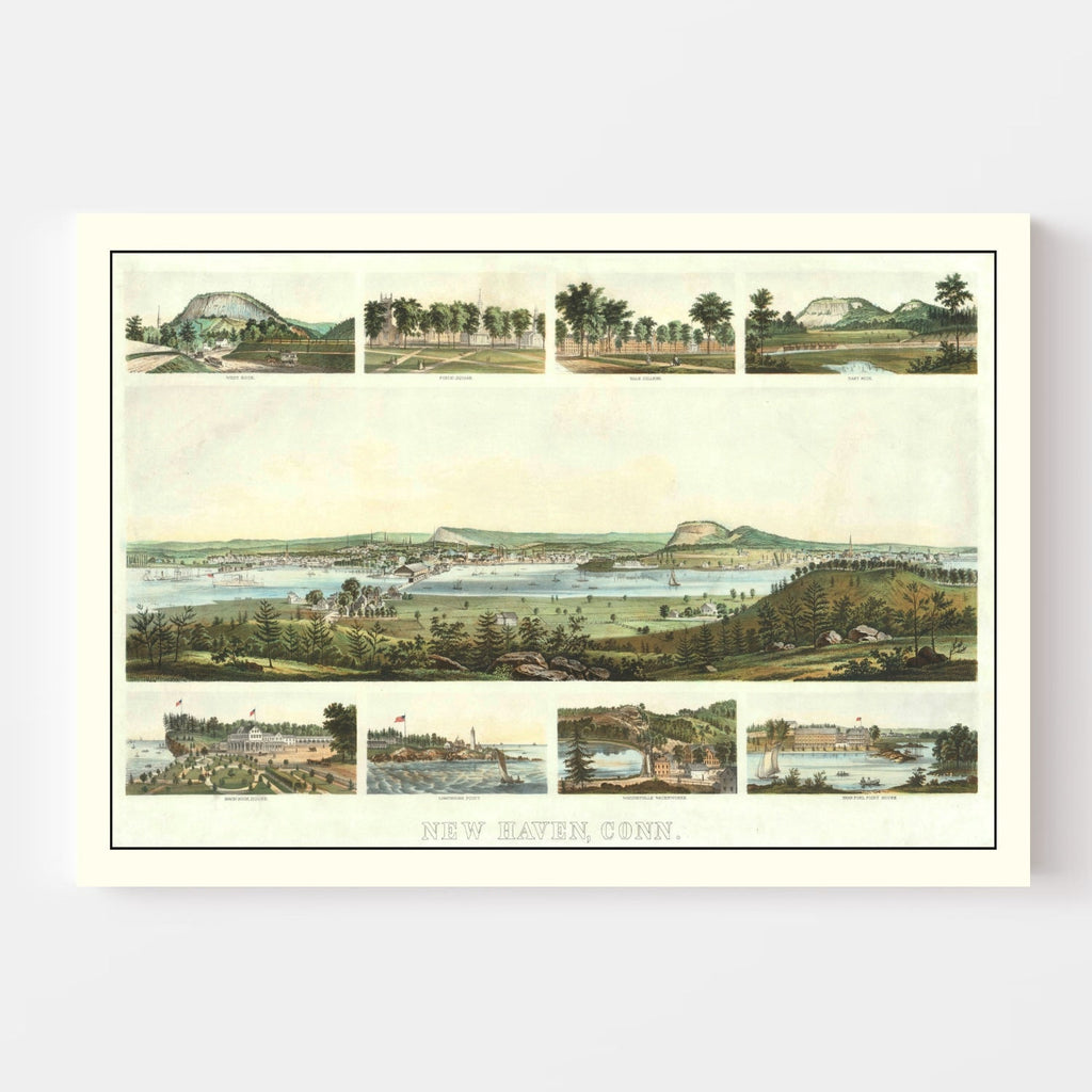 Vintage Map of New Haven, Connecticut 1862