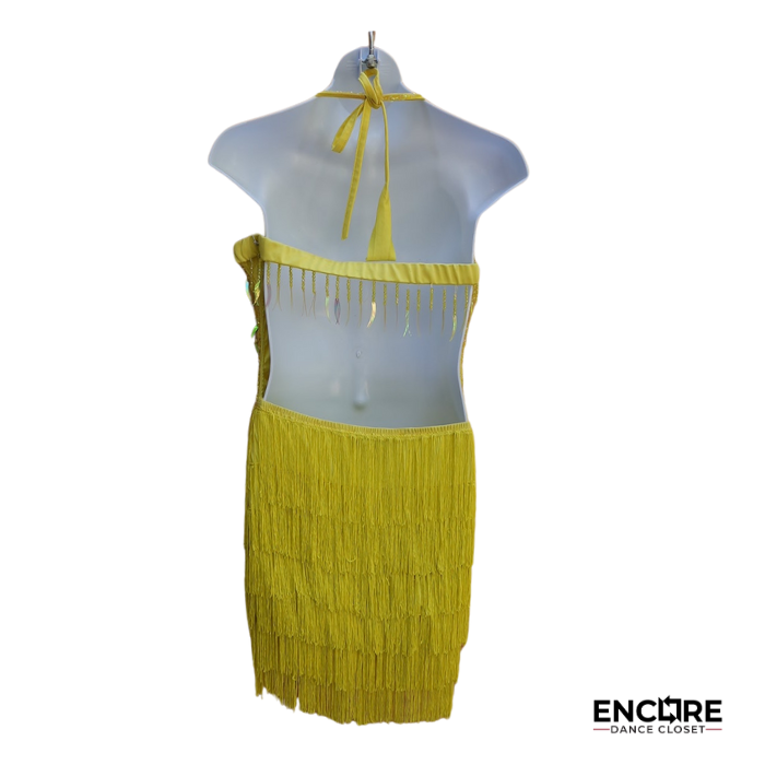 Fringe Fever Dress