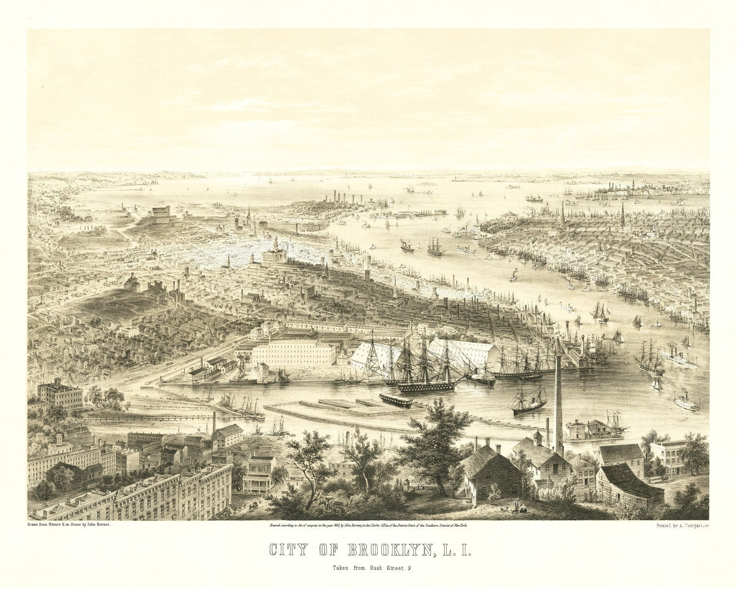 Vintage Map of Brooklyn, New York 1855