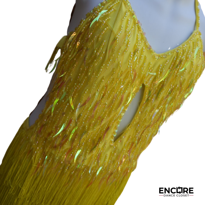 Fringe Fever Dress