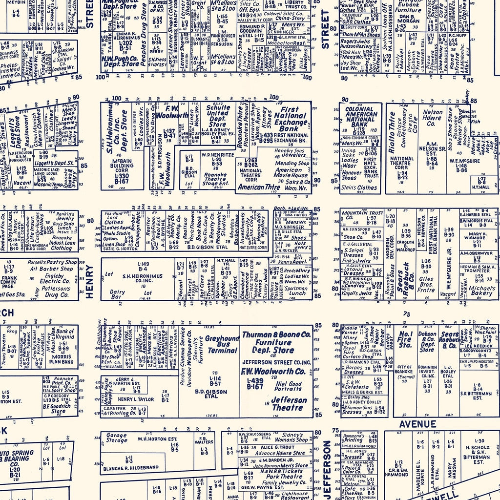 Vintage Map of Roanoke, VA Business Section 1950